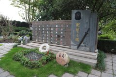 致敬“平安卫士”，铭记“刑警之魂”